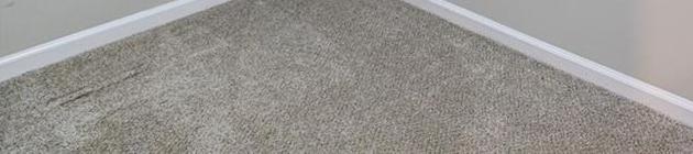 Photo #35