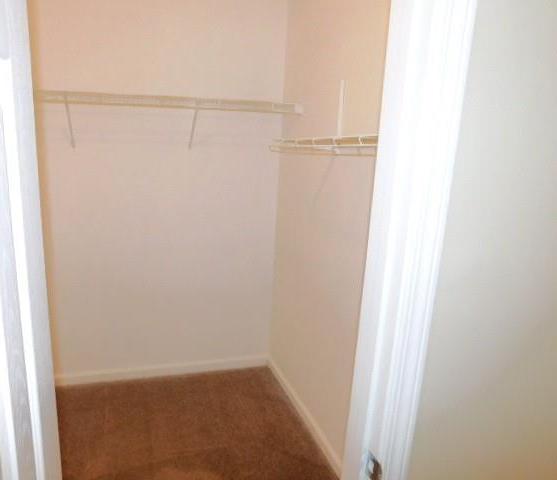 Photo #15