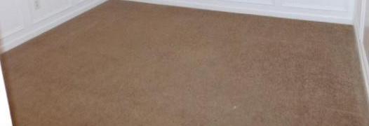 Photo #11
