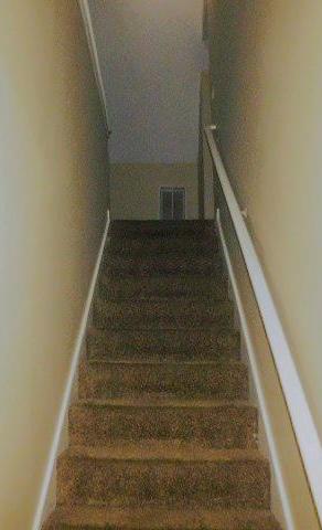 Photo #20
