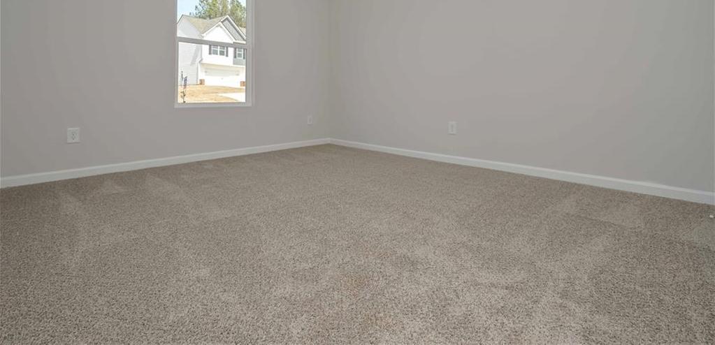 Photo #24
