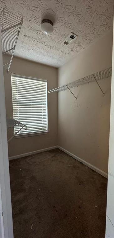 Photo #13