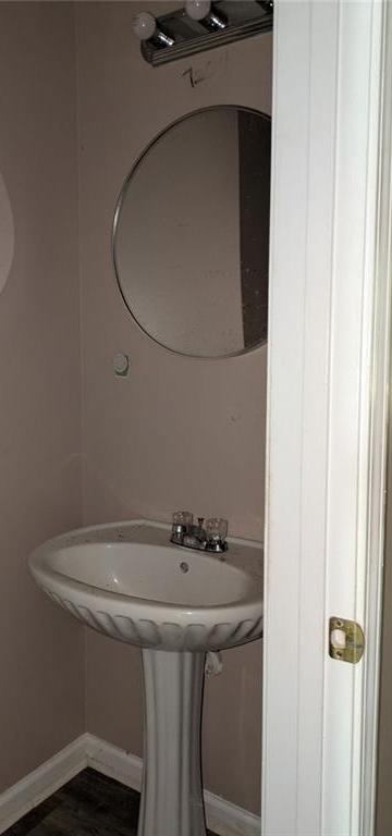 Photo #15