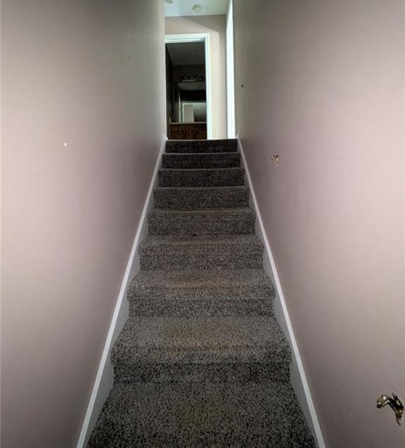 Photo #6