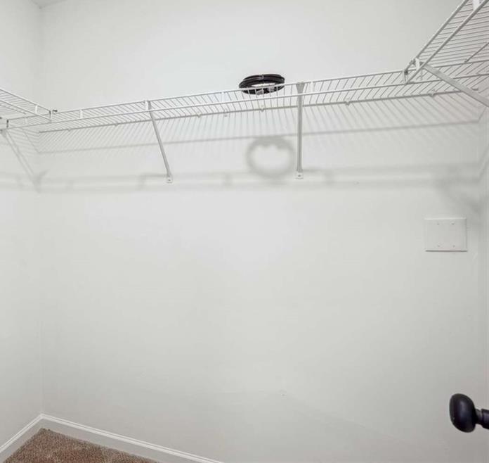 Photo #12