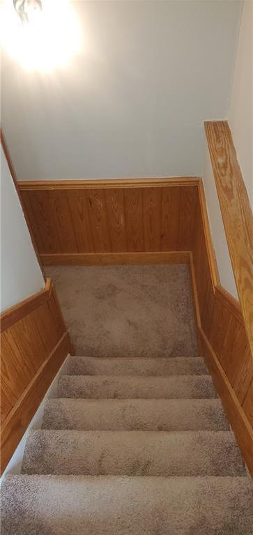 Photo #24