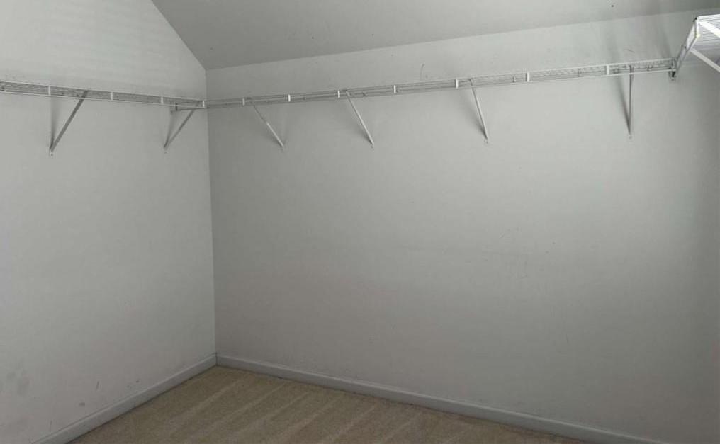 Photo #19