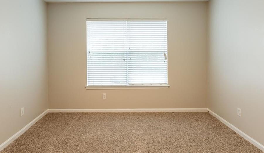 Photo #31