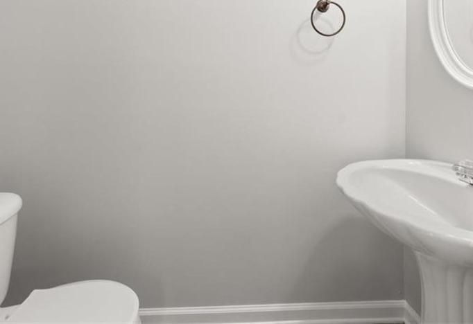 Photo #14