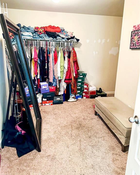 Photo #19