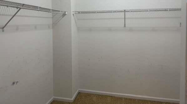Photo #11