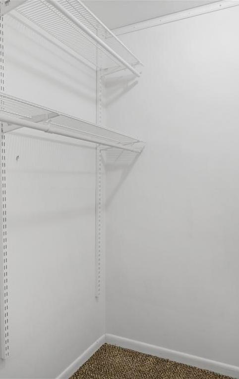 Photo #38