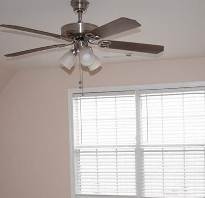 Photo #42