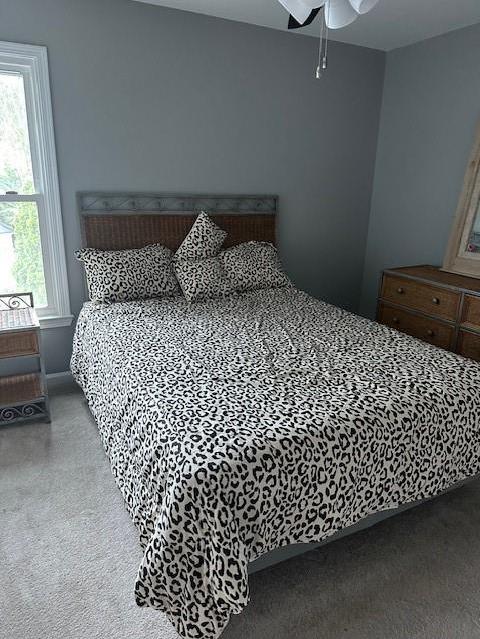 Photo #13