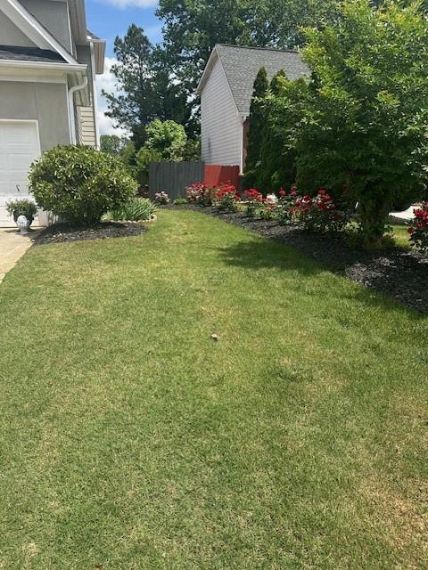 Photo #4