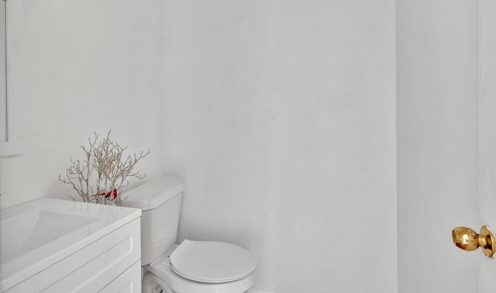 Photo #15