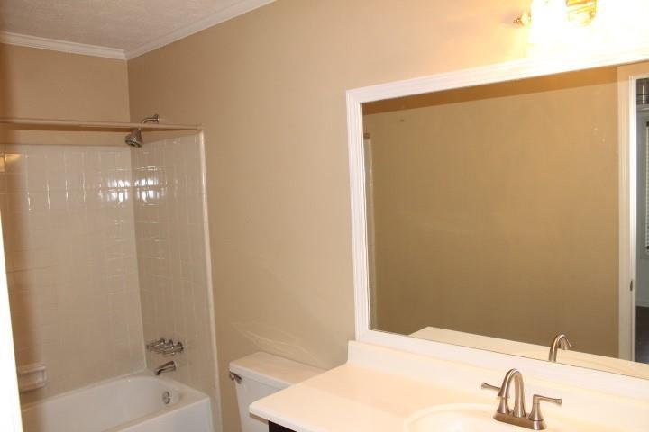 Photo #3
