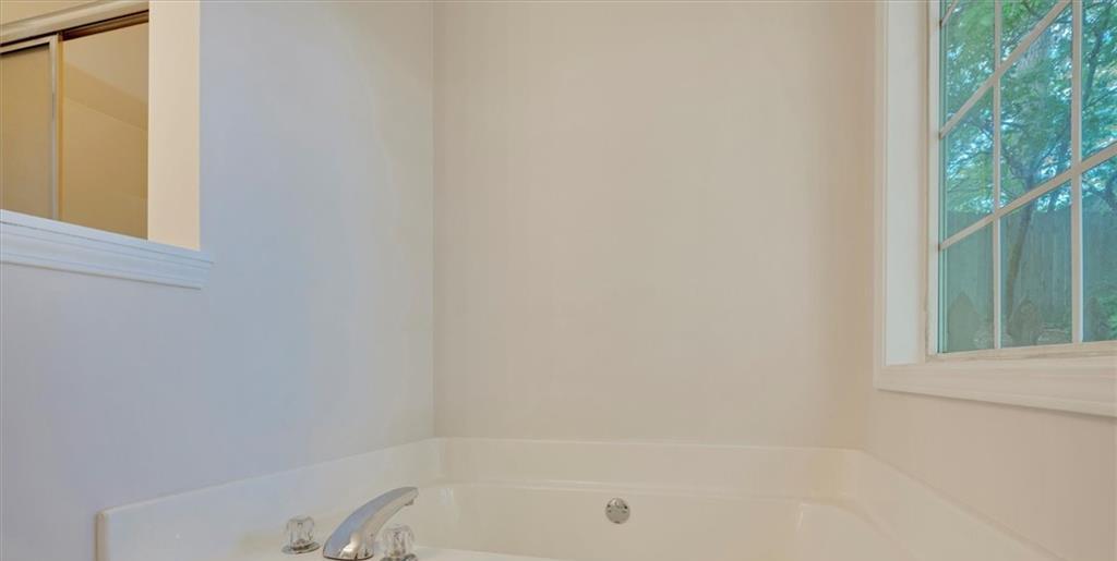 Photo #16