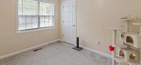 Photo #14
