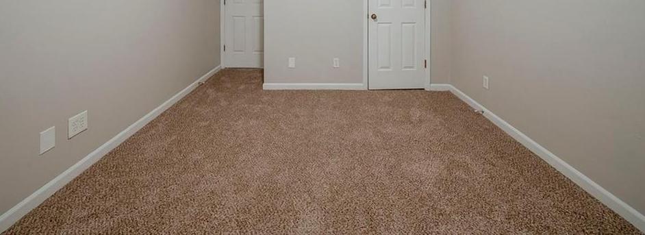 Photo #24