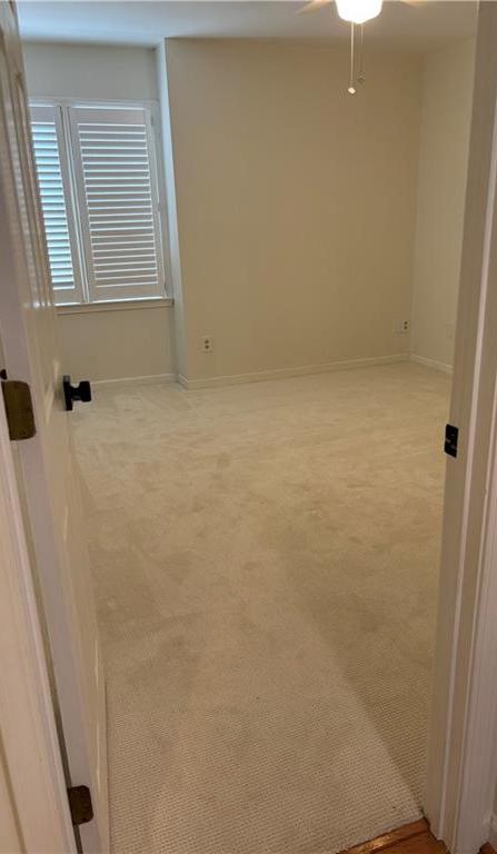 Photo #14