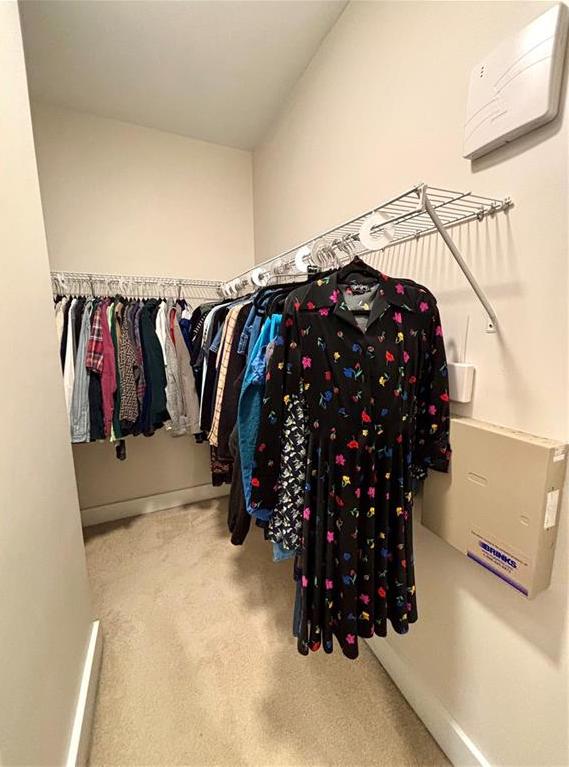 Photo #19