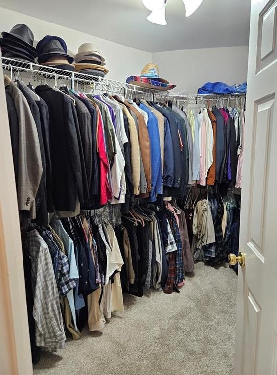 Photo #22