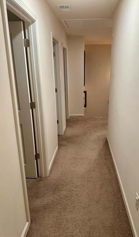 Photo #9