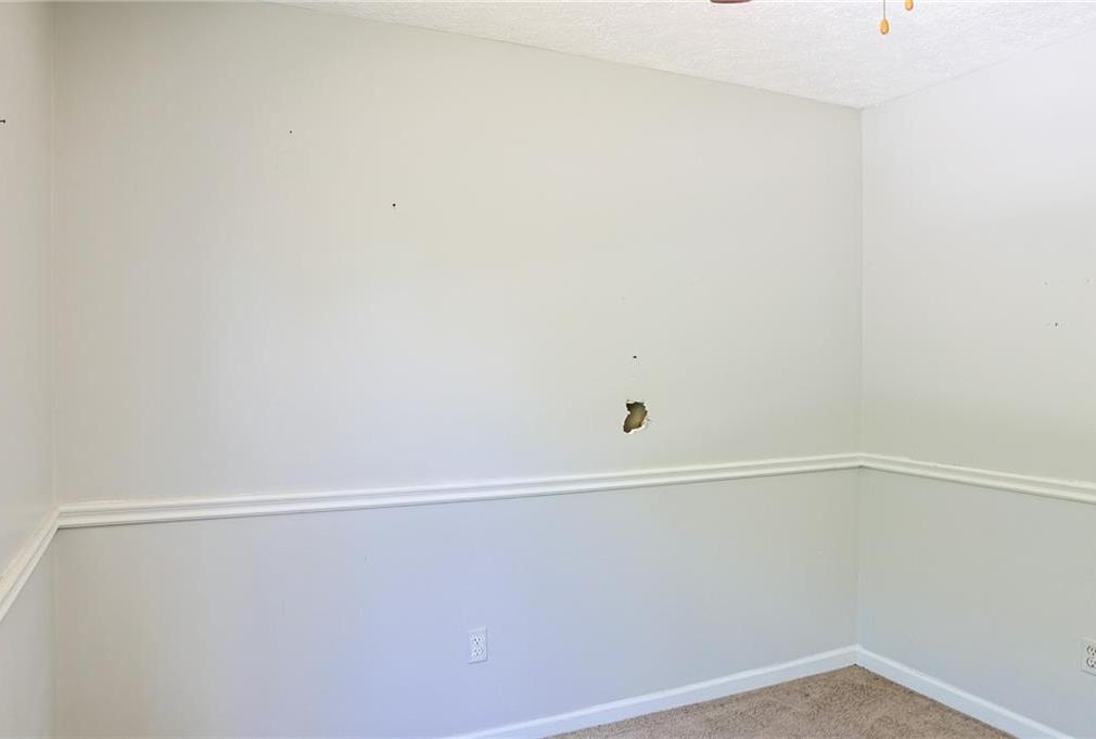 Photo #16