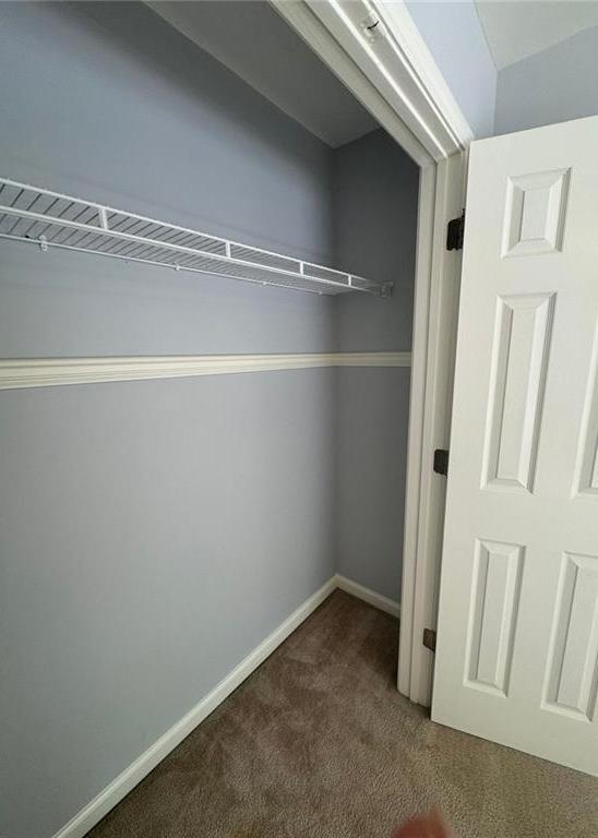 Photo #61
