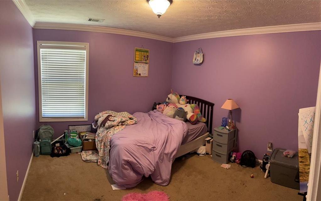 Photo #23