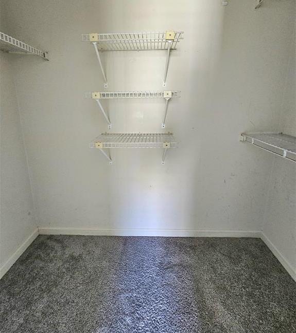 Photo #10