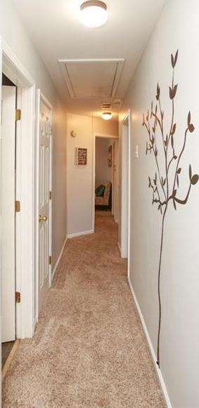 Photo #24