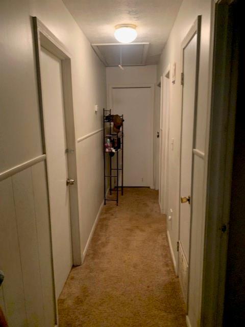 Photo #7
