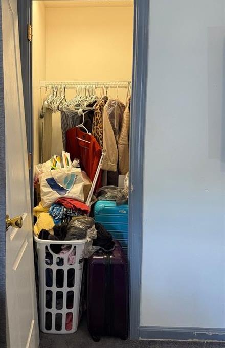 Photo #17