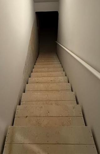 Photo #26