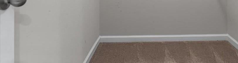 Photo #18