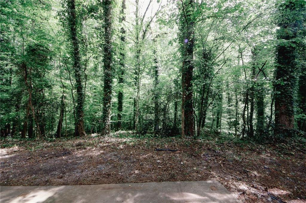 Photo #39