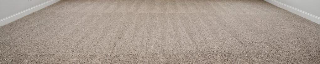 Photo #36
