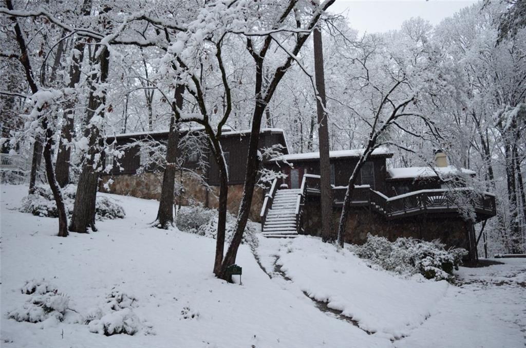 Photo #49