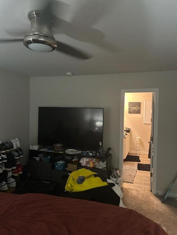 Photo #32