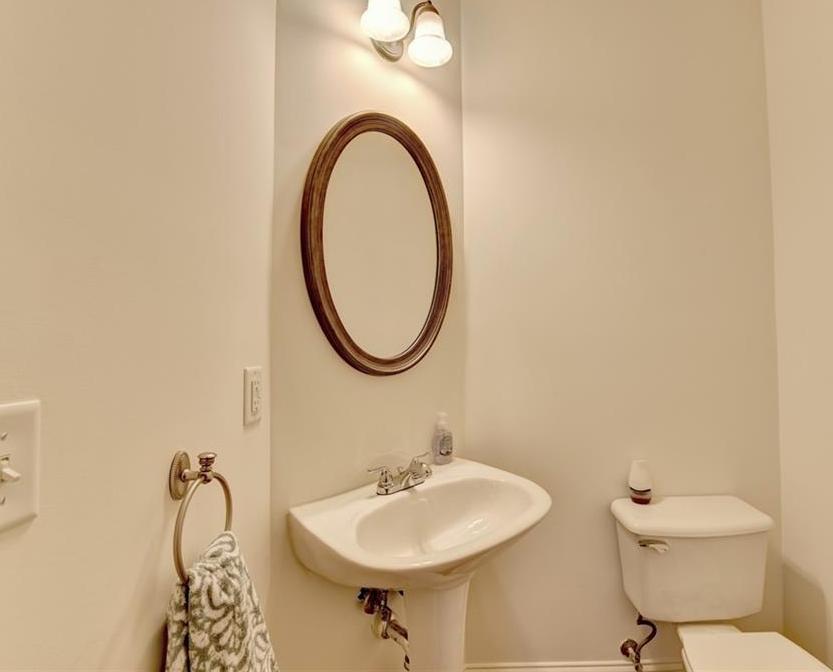 Photo #15