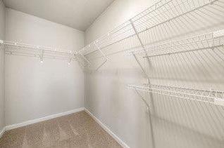 Photo #14