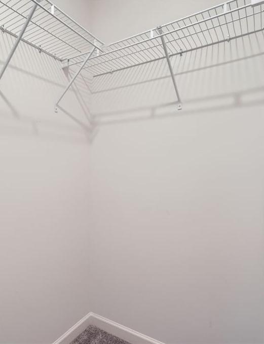 Photo #23