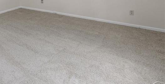 Photo #42