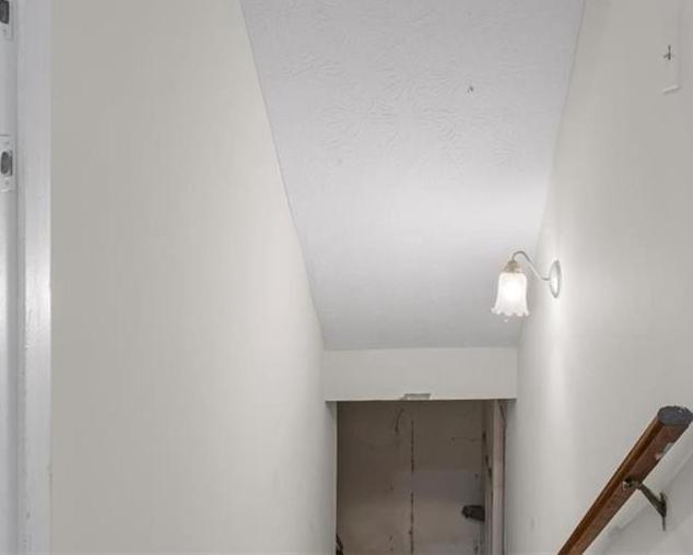 Photo #17
