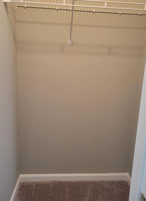 Photo #16