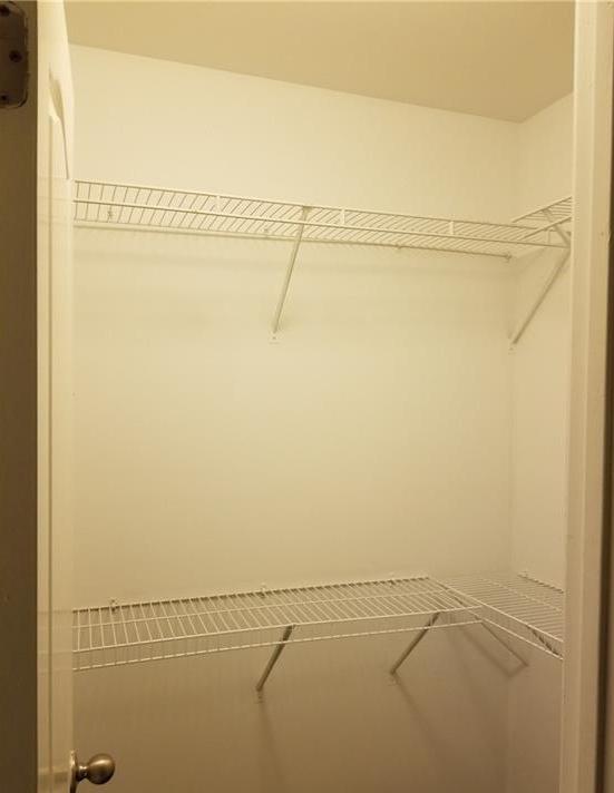 Photo #43