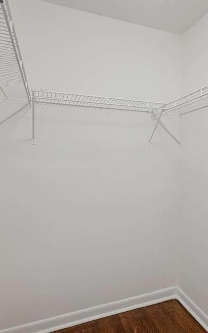 Photo #16