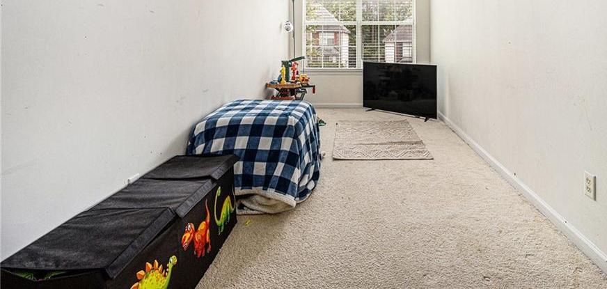 Photo #19